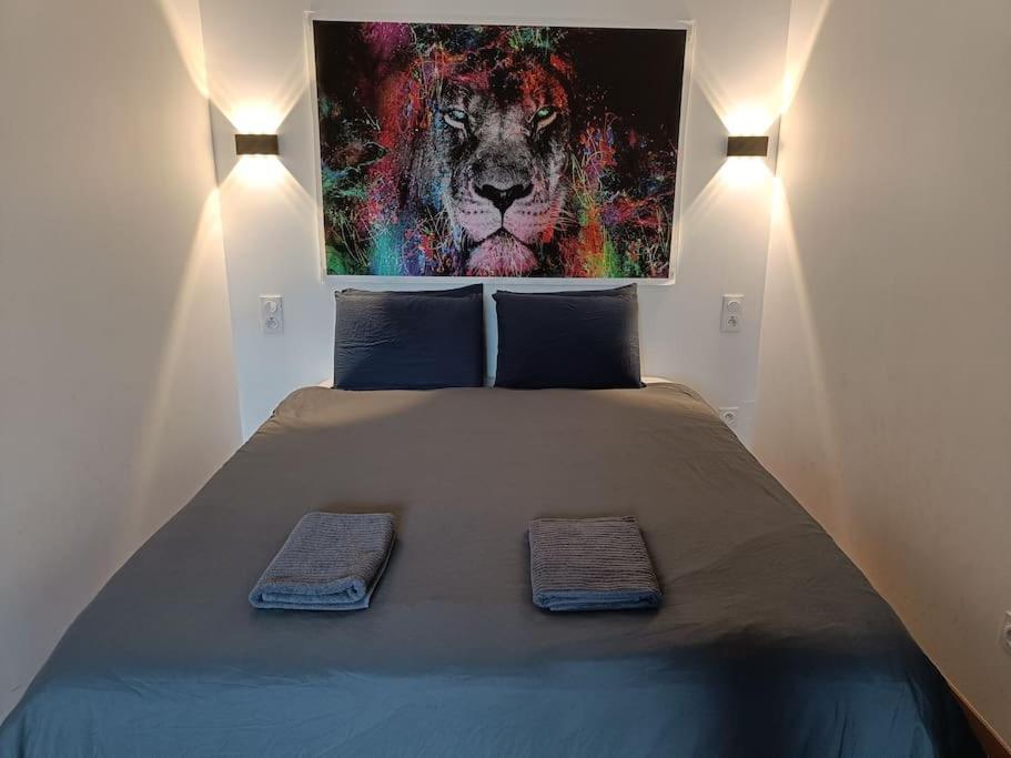 Appartement Confort Equipe Au Coeur De Béziers Kültér fotó